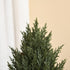 Homcom Mini Kerstboom in Pot 47 cm - met Rode Bessen en Dennenappel