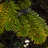 Excellent Trees® LED Mantorp 180 cm - Premium Kerstboom met 280 Lampjes ⌀109cm - ↕180cm