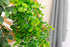 GreenDream® 3 Verschillende Hangplanten Kunstplanten in Pot - decoratief - Cadeautip - Groen