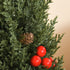 Homcom Mini Kerstboom in Pot 47 cm - met Rode Bessen en Dennenappel