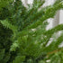 Homcom kerstboom met realistische uitstraling - 180 cm - Ø136 cm