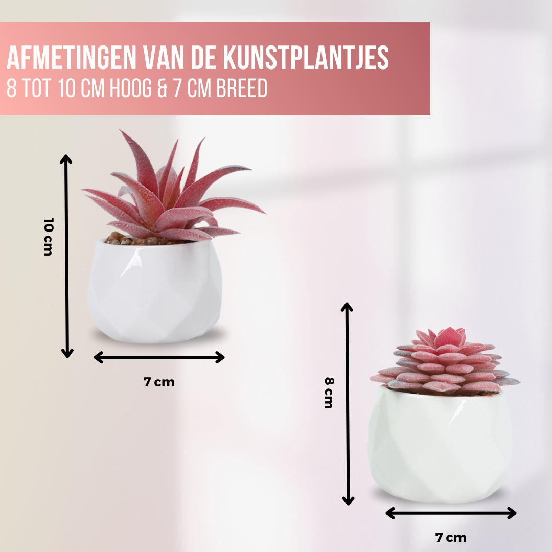 Greendream® Mini Kunstplantjes Set 6 stuks in Keramiek Potje - 6 Stuks Vetplanten - Roze