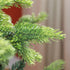 Homcom Kunstkerstboom met stevige metalen voet 183 cm - Groen