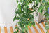 GreenDream® 3 Verschillende Hangplanten Kunstplanten in Pot - decoratief - Cadeautip - Groen