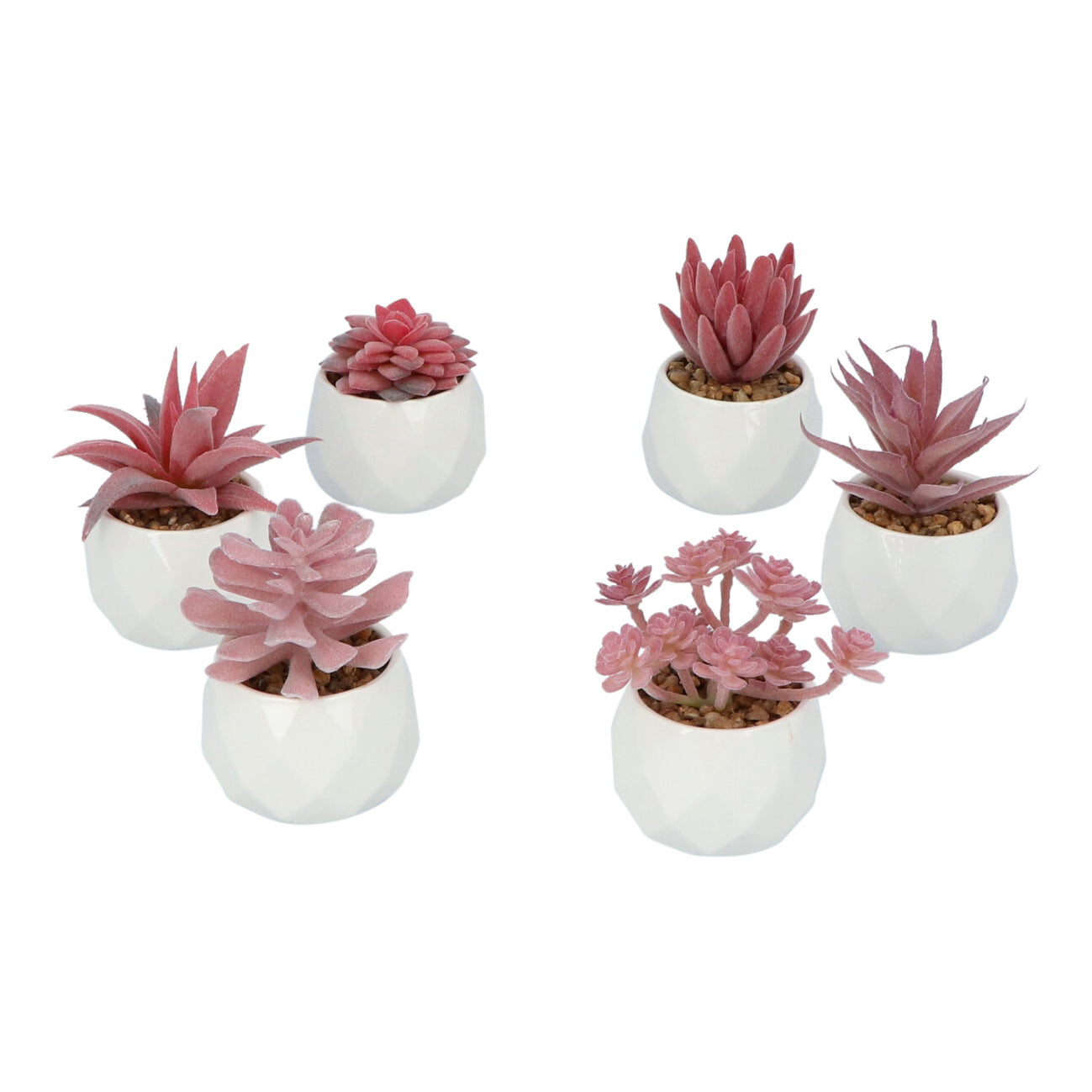 Greendream® Mini Kunstplantjes Set 6 stuks in Keramiek Potje - 6 Stuks Vetplanten - Roze