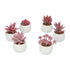 Greendream® Mini Kunstplantjes Set 6 stuks in Keramiek Potje - 6 Stuks Vetplanten - Roze