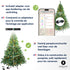 Excellent Trees® Kerstboom LED Stavanger Green 210 cm met verlichting - nu met Opbergtas t.w.v. € 27.95