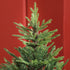 Homcom Kunstkerstboom 150 cm - realistisch uiterlijk - snelle montage - met standaard