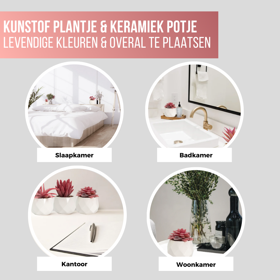 Greendream® Mini Kunstplantjes Set 6 stuks in Keramiek Potje - 6 Stuks Vetplanten - Roze