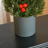 Homcom Mini Kerstboom in Pot 47 cm - met Rode Bessen en Dennenappel