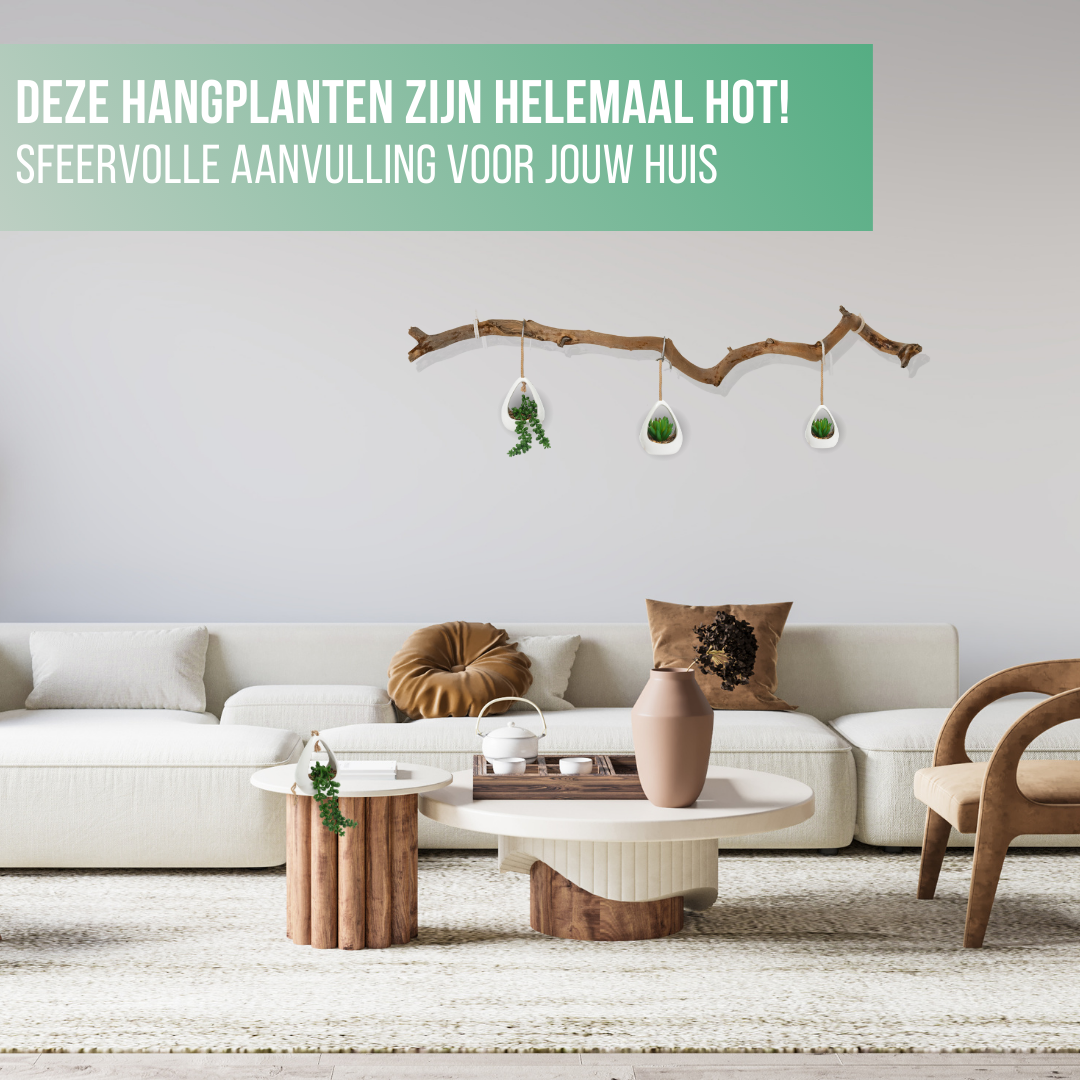 GreenDream® Kunstplanten - 3 stuks Hangplanten in Hanger - Cadeautip