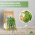 GreenDream® 3 Verschillende Hangplanten Kunstplanten in Pot - decoratief - Cadeautip - Groen