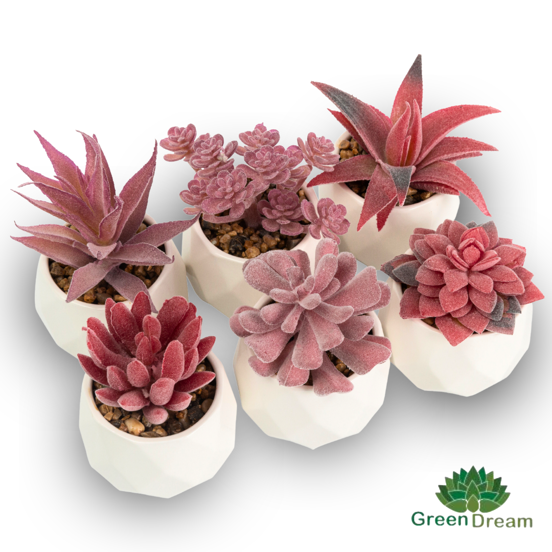 Greendream® Mini Kunstplantjes Set 6 stuks in Keramiek Potje - 6 Stuks Vetplanten - Roze