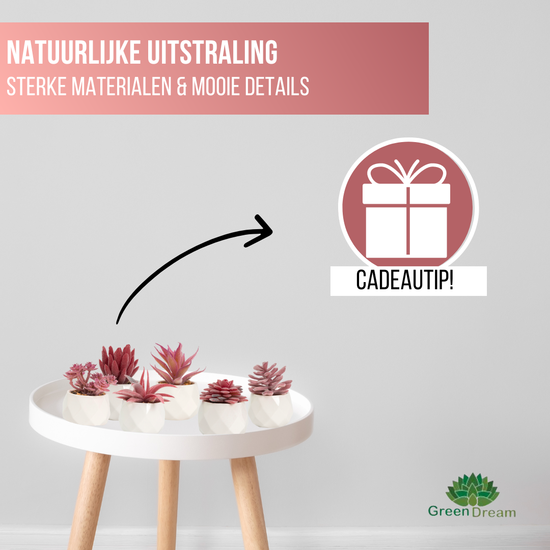 Greendream® Mini Kunstplantjes Set 6 stuks in Keramiek Potje - 6 Stuks Vetplanten - Roze