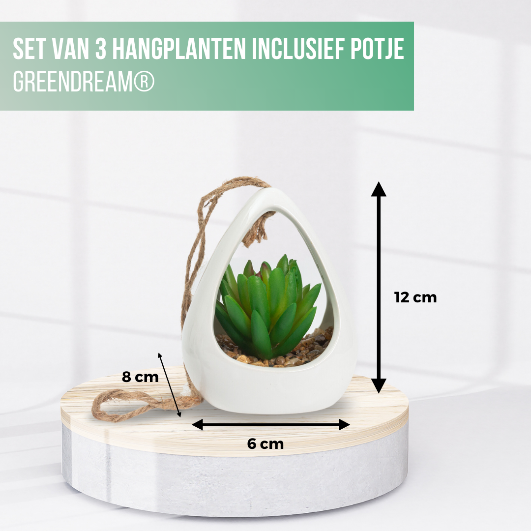 GreenDream® Kunstplanten - 3 stuks Hangplanten in Hanger - Cadeautip