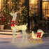 4goodz Outsunny LED kerstdecoratie Rendier met Slee 170 lampjes