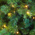 Kerstboom Excellent Trees® LED Stavanger 300 cm met 850 LED Lampjes Kerstboom - ⌀170cm - ↕300cm