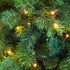 Excellent Trees® Kerstboom LED Stavanger Green 210 cm met verlichting - nu met Opbergtas t.w.v. € 27.95