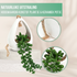 GreenDream® Kunstplanten - 3 stuks Hangplanten in Hanger - Cadeautip