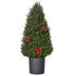 Homcom Mini Kerstboom in Pot 47 cm - met Rode Bessen en Dennenappel