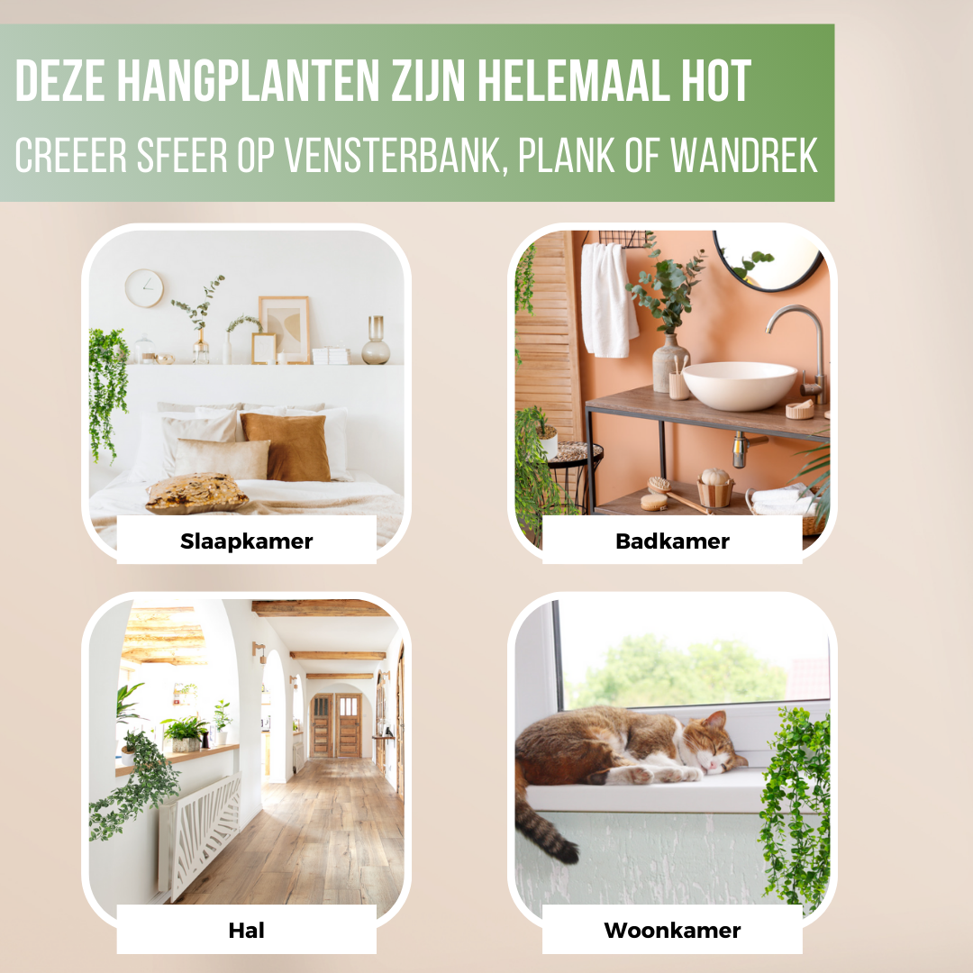 GreenDream® 3 Verschillende Hangplanten Kunstplanten in Pot - decoratief - Cadeautip - Groen