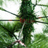 Homcom Kunstkerstboom met standaard - Ø 90 x 210 H cm - Groen