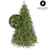 Christmas tree Excellent Trees® LED Ulvik 180 cm with lighting - Luxury version - 340 lights