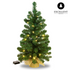 Mini Kerstboom Excellent Trees® LED Jarbo 75 cm met verlichting - Luxe uitvoering - Hoogwaardig PVC Materiaal met 55 Lampjes - Groen