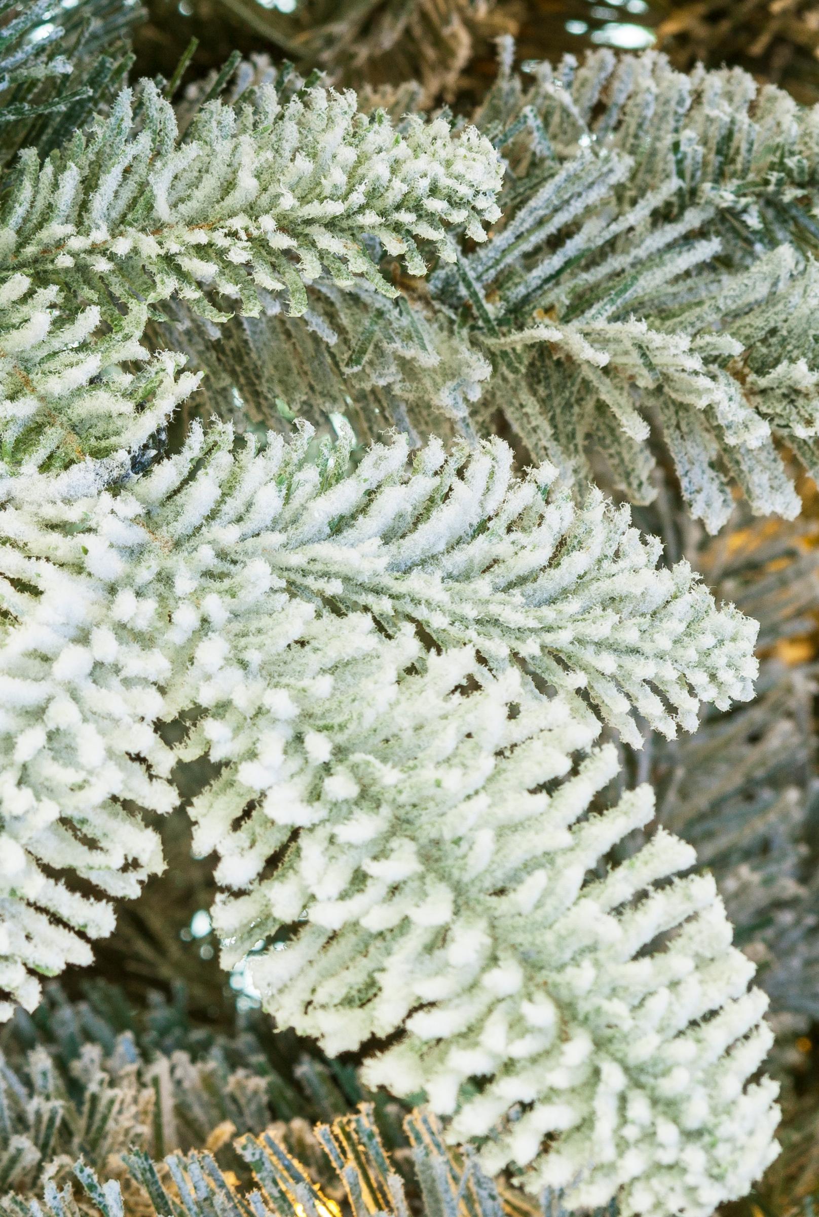 Excellent Trees® Otta Christmas Tree with Snow 180 cm - Luxury version